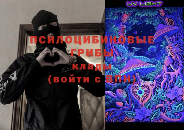 шишки Дмитриев